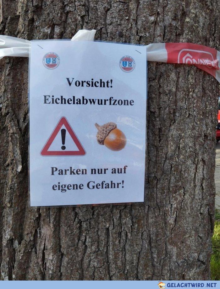 Murphy rastet aus