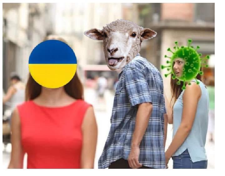 Muuh