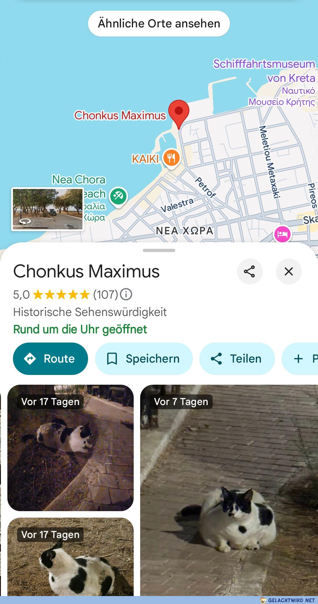 Mächtiger Mauzer