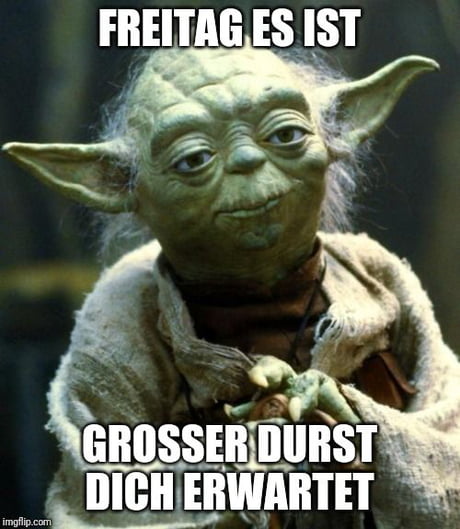 Möge der Alk mit dir sein