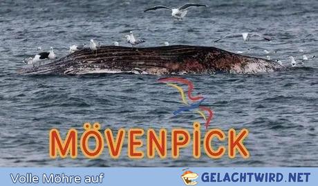 Mövenpick