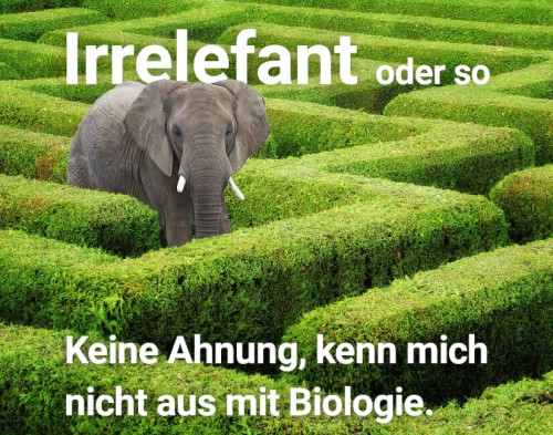 Na? Na?