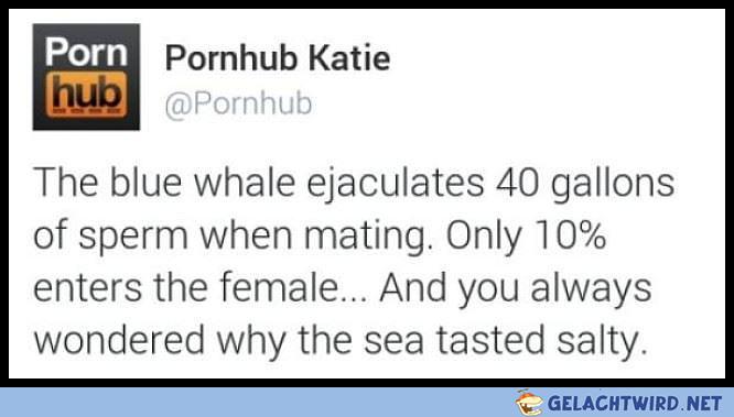 Nice to know