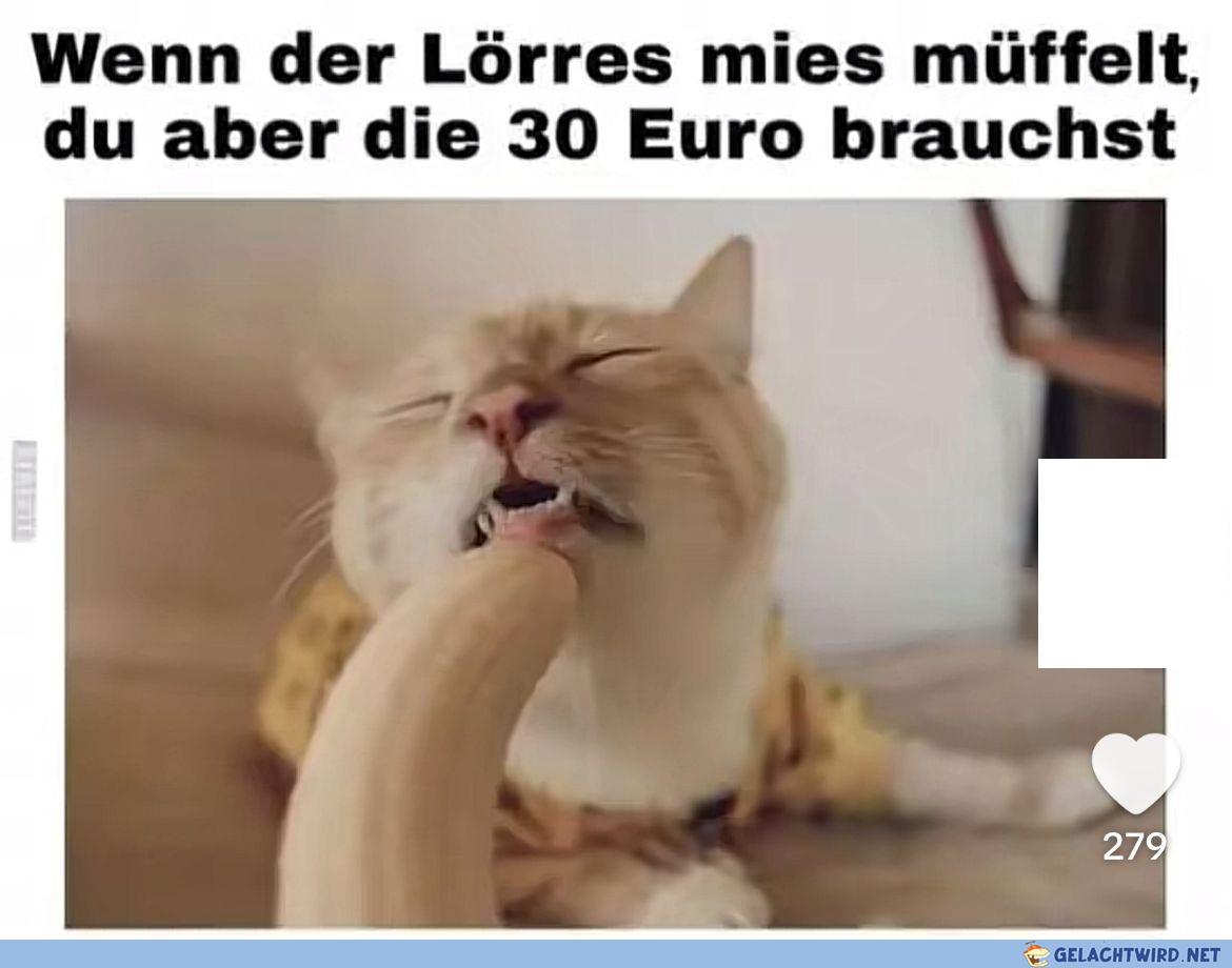 Nicht einfach im Hause Skeletor