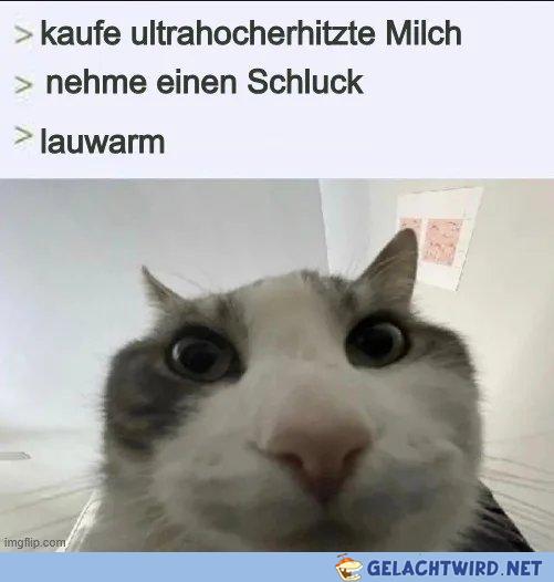 Nicht mal mit Vitamin R