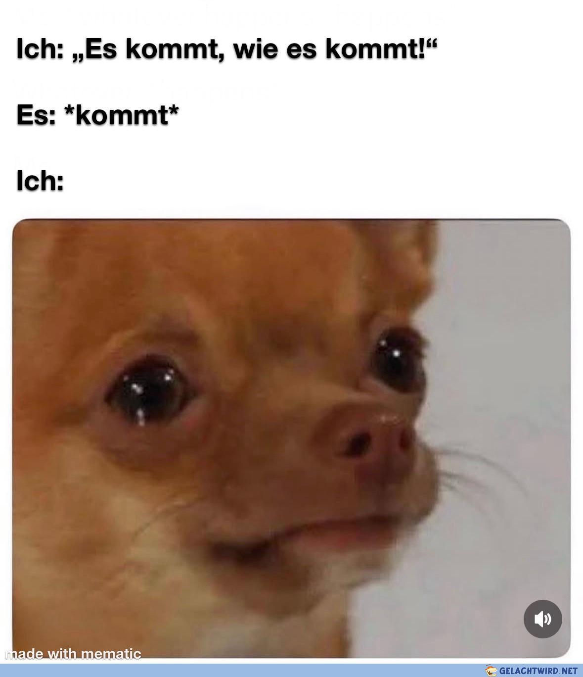 Nicht schon wieder