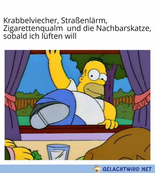 Nie wieder Erdgeschoss