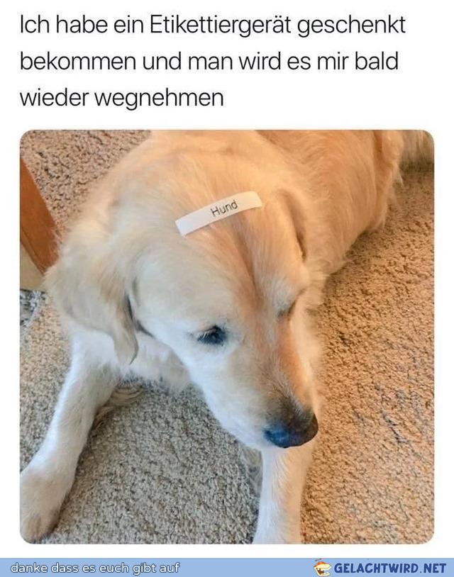 Nix darf man