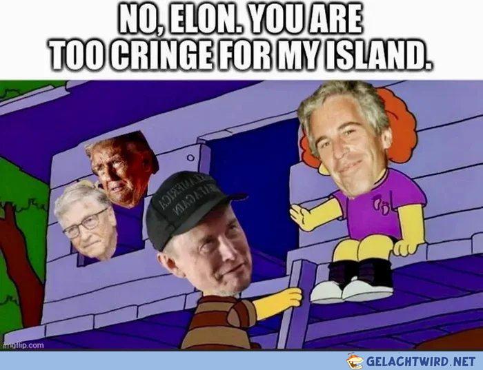 No, Elon