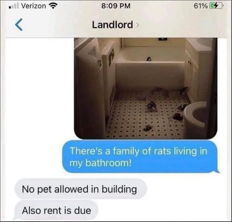 No Pets allowed