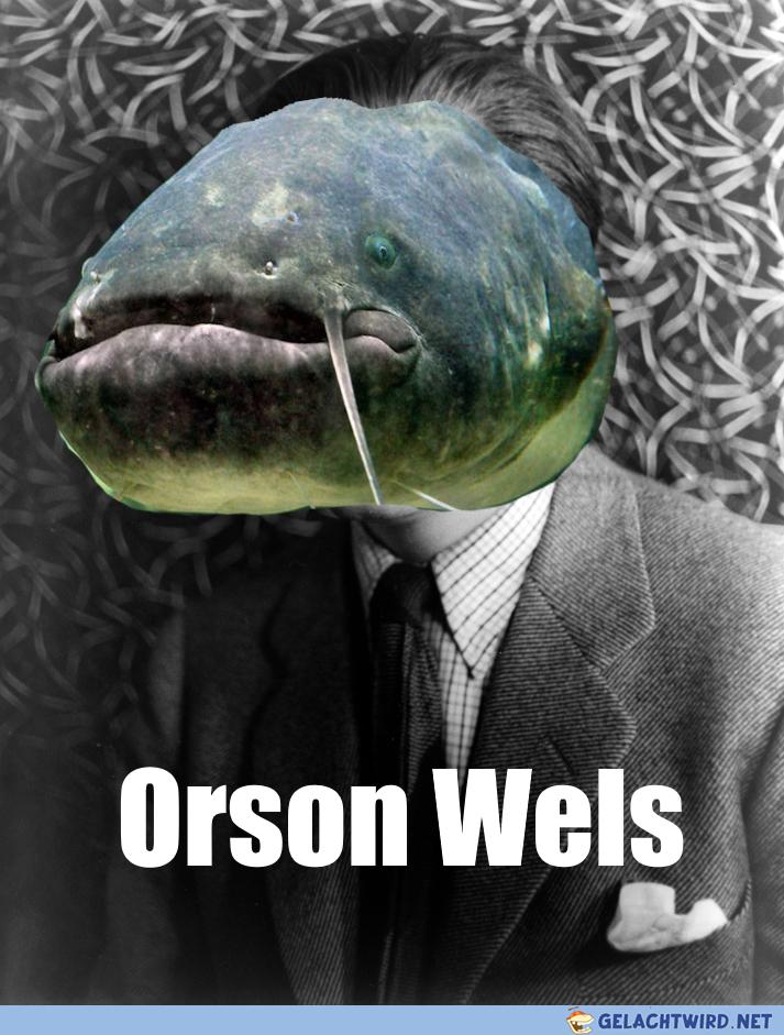 Nochn Wels.