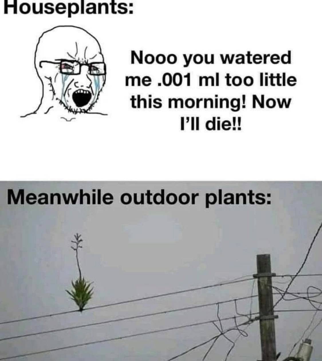 nooo.jpg