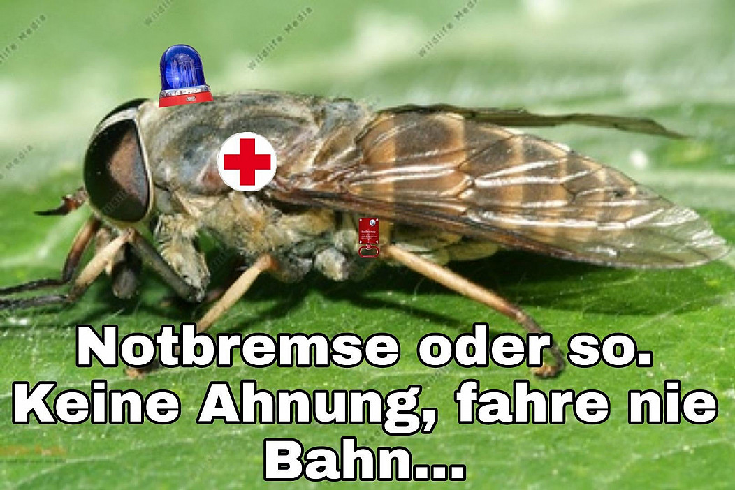 Notbremse