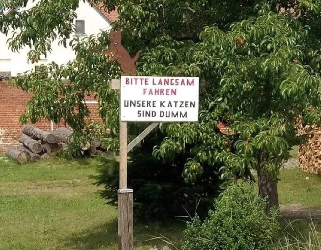 Nur eure?