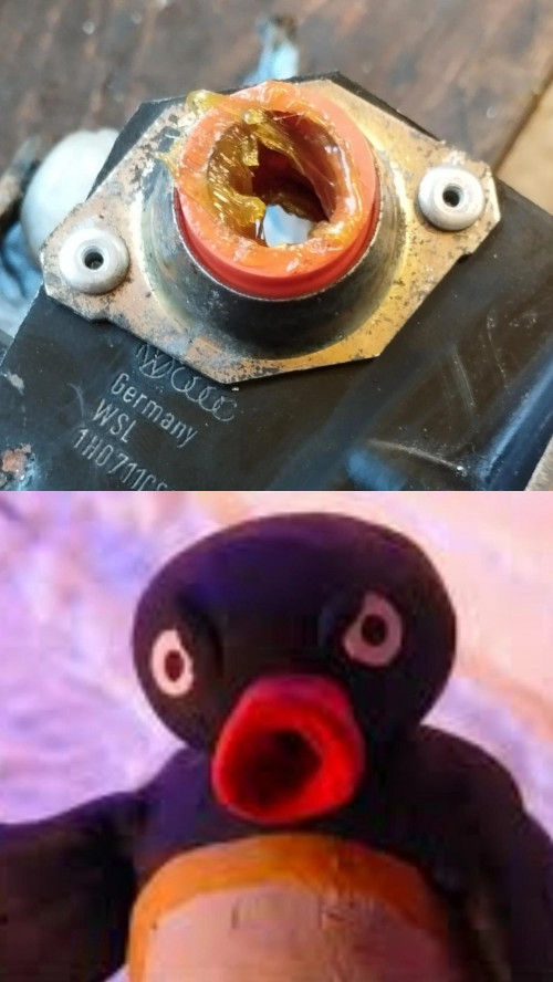 NUUT NUUT MF