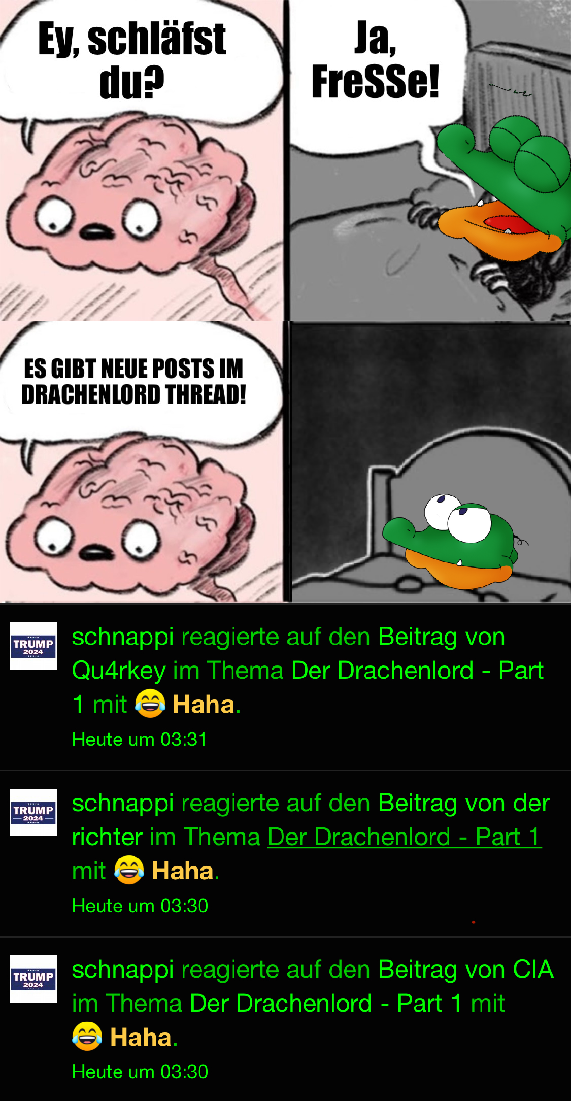 Nächtliche Peltung