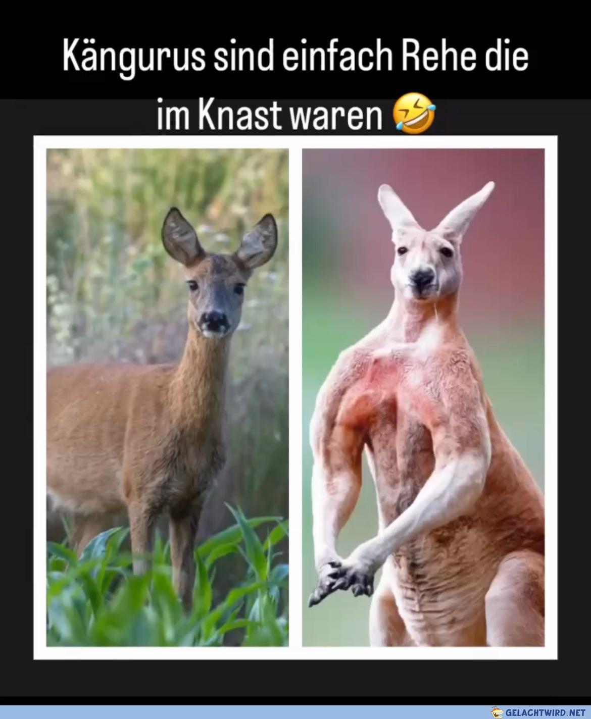 Oder so ähnlich