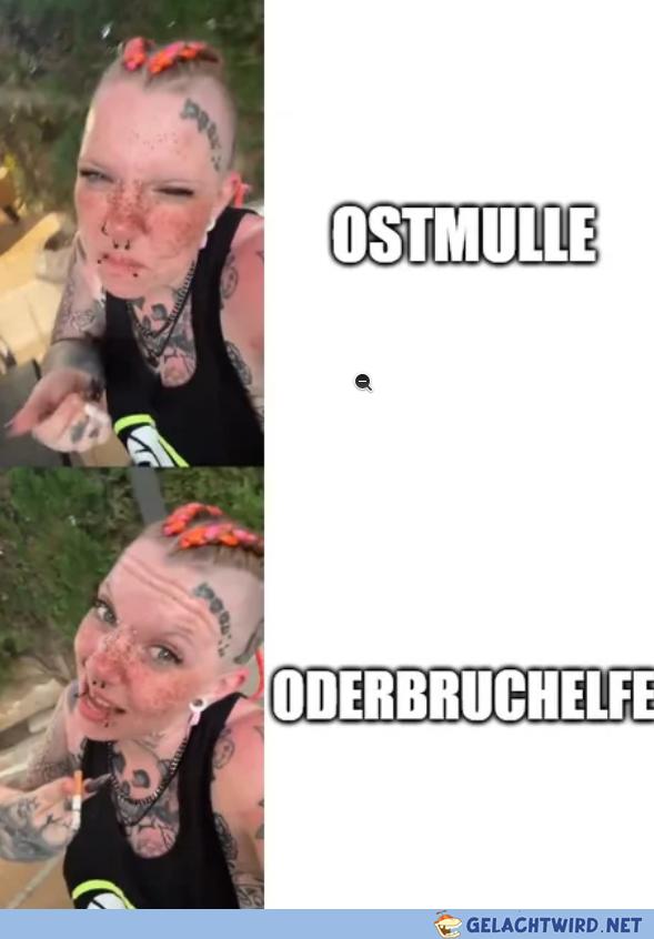 Oderbruchelfe