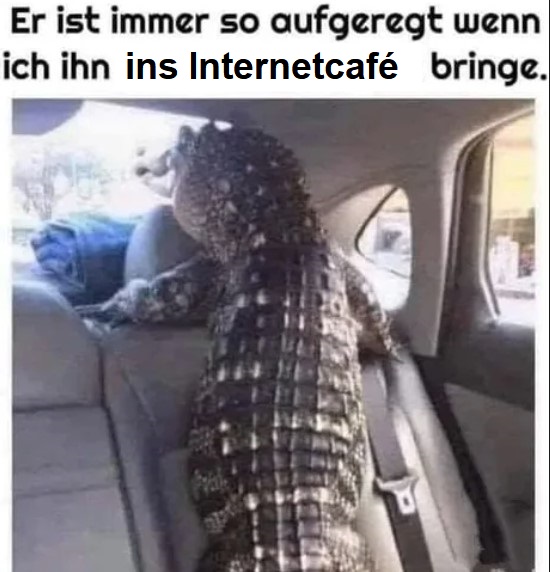 Oh Junge oh Junge. Gleich wird gepeltet