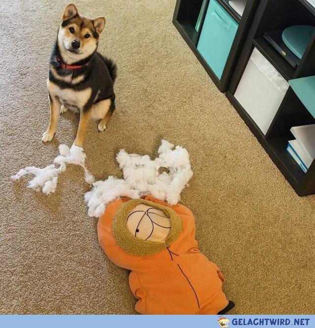 Oh nein...