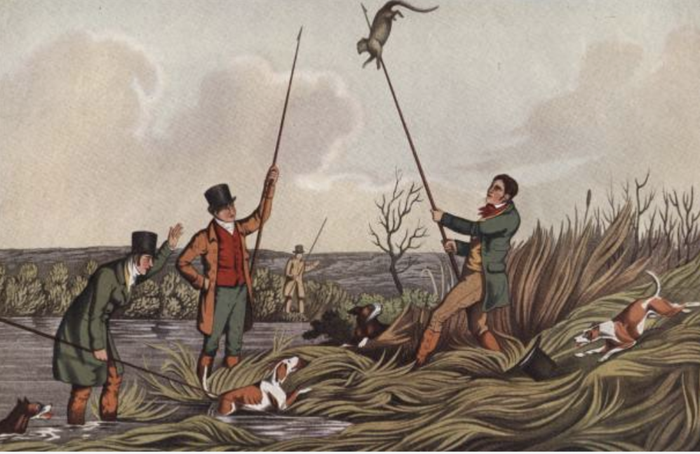 Ottengame - Ein Gentleman Sport