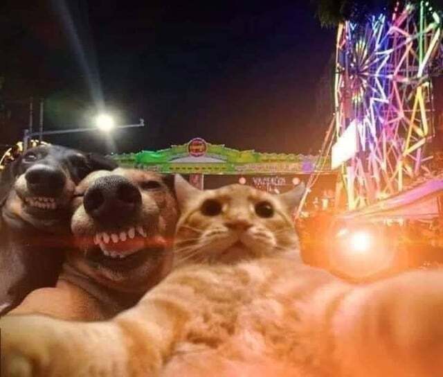 Paaaarty