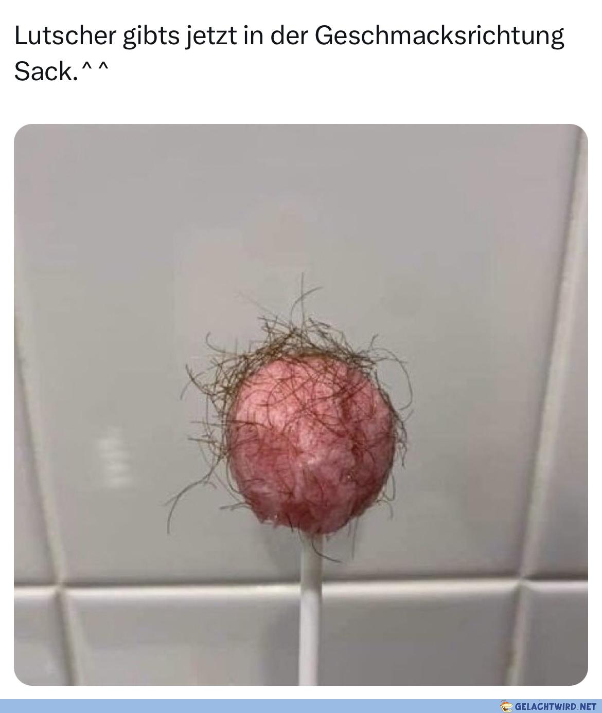 Panic leckt Lutscher