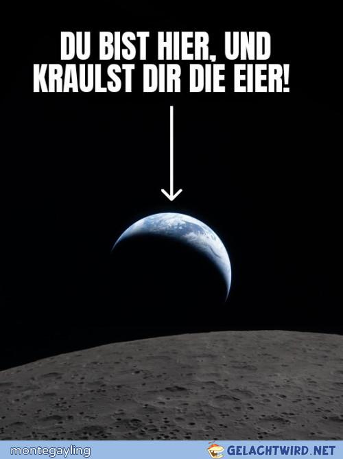 Panic leggt auf dem Blaneddn Eier