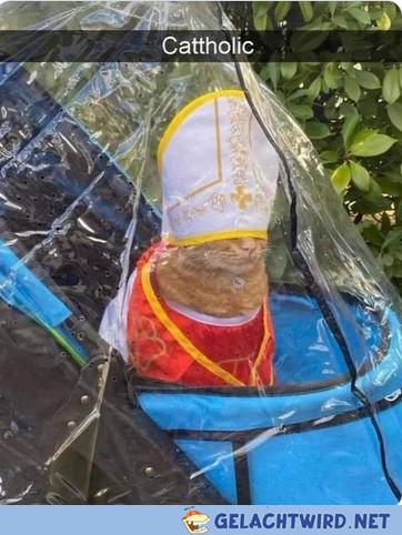 Papst Maunz der 7