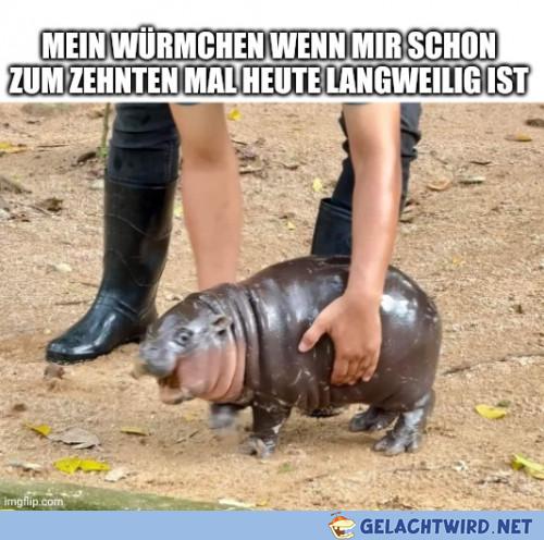 Passiert mir ständig