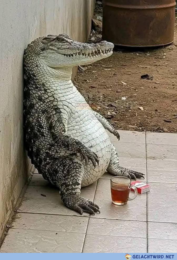 Pause machen