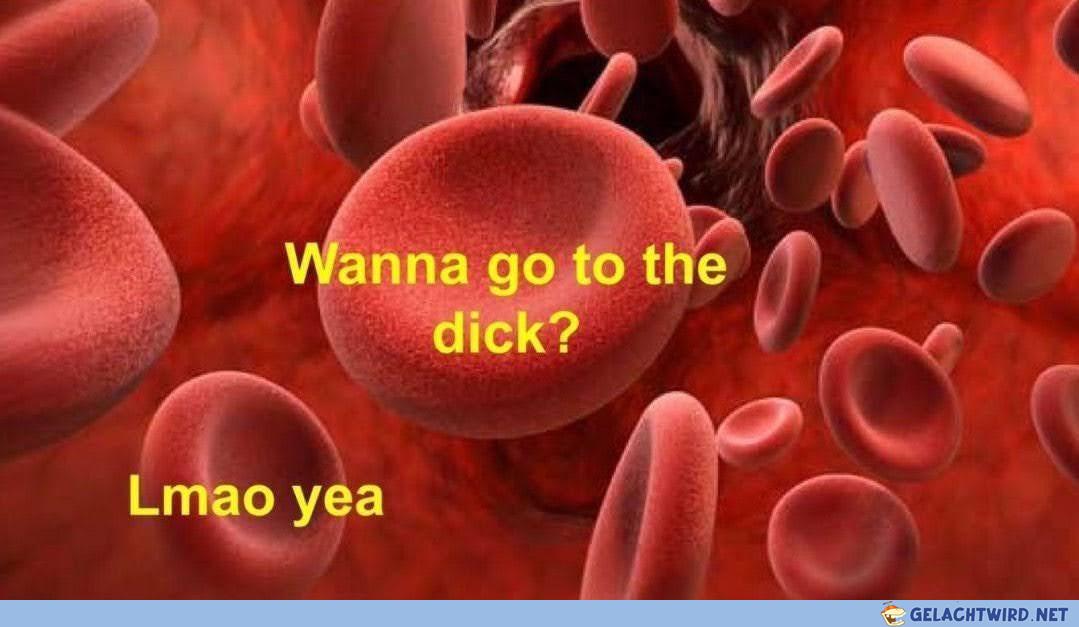 Penis XD