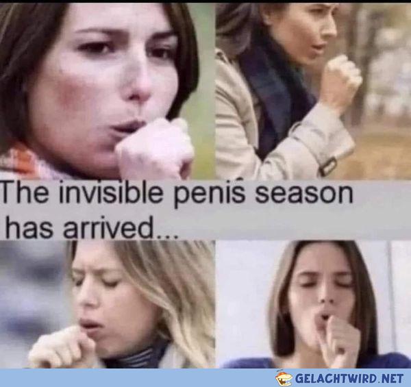 Pneis