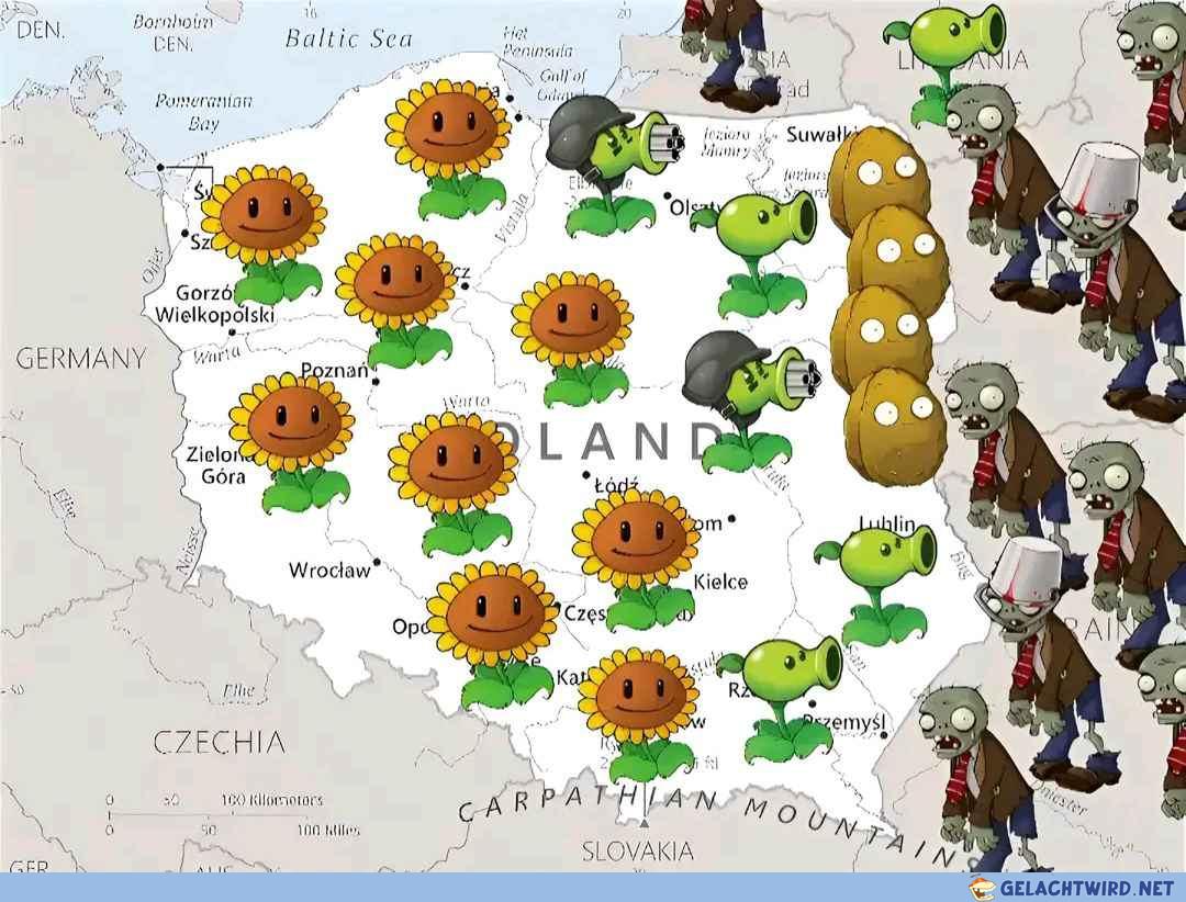 Polski Plants vs Zombies