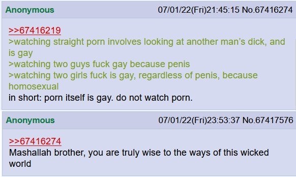 Porn is gay
