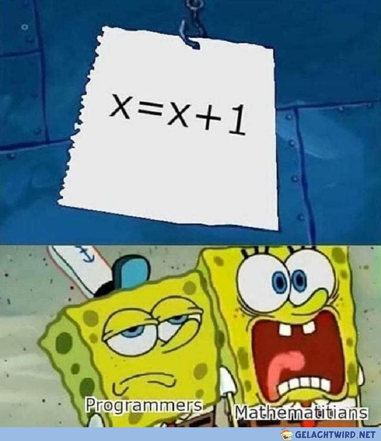 Programmers vs Mathematitians