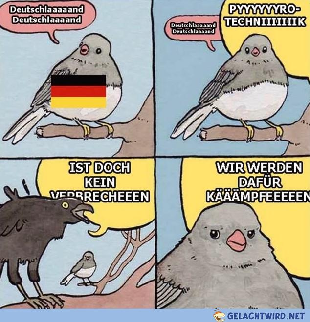 Pyrotechnik