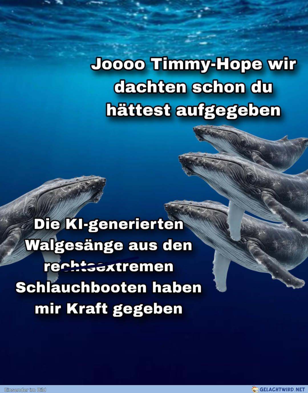 Rechtsrock rettet Leben.
