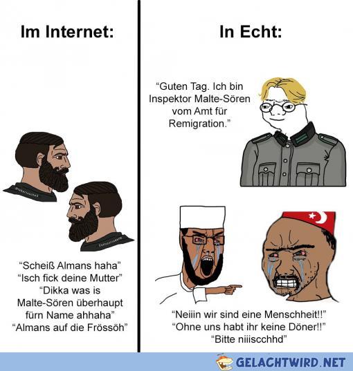 Remigration