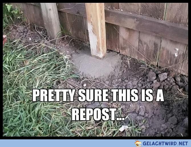 Repost