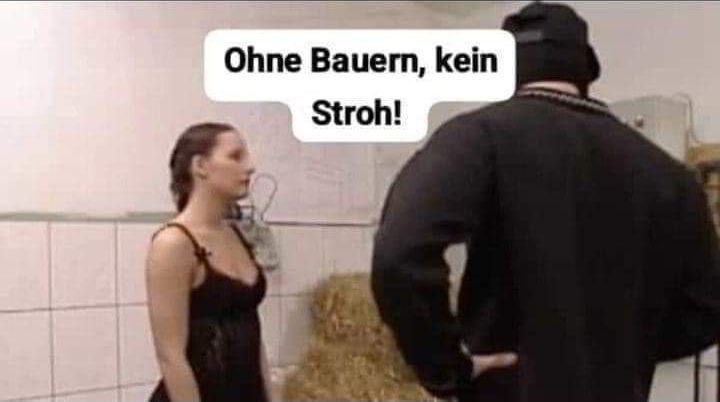 Rettet die Bauern !!11