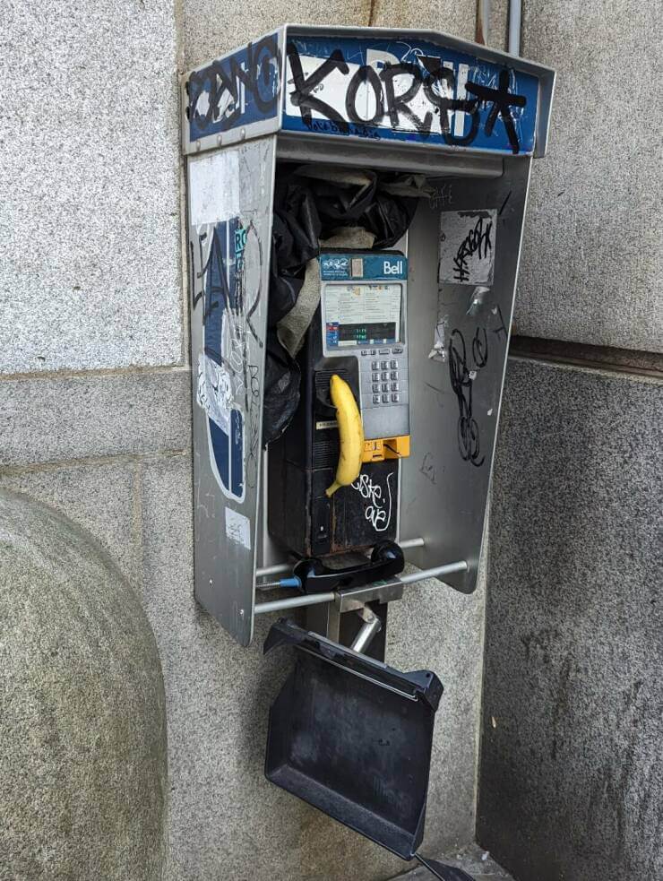 Ring ring ring ring ring ring ring Bananphone