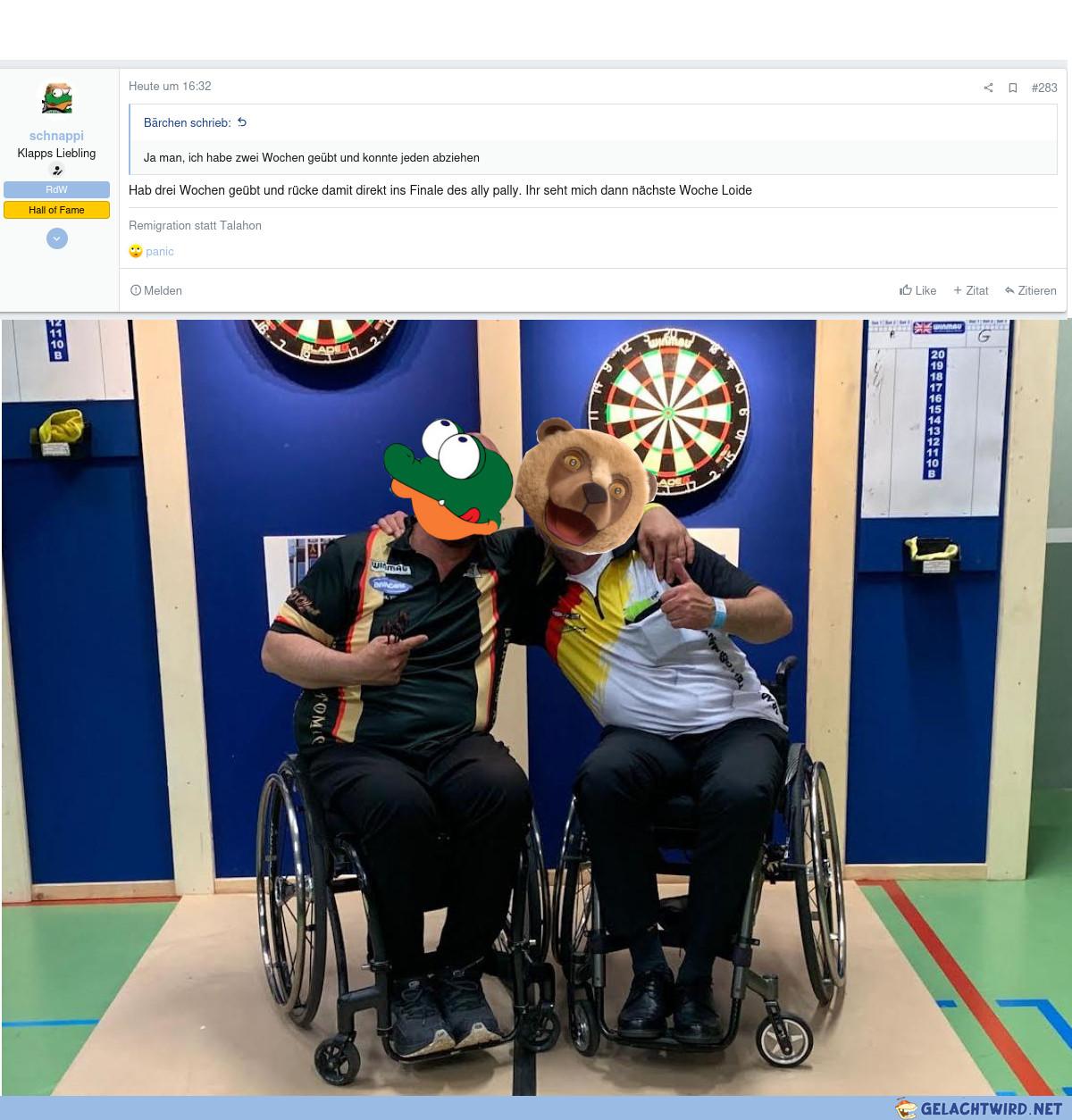 Rollstuhl Darts