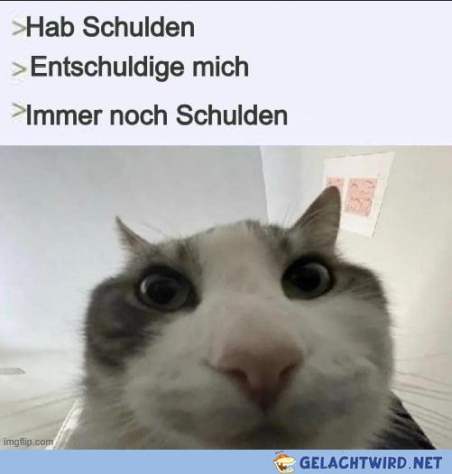 Saftladen!