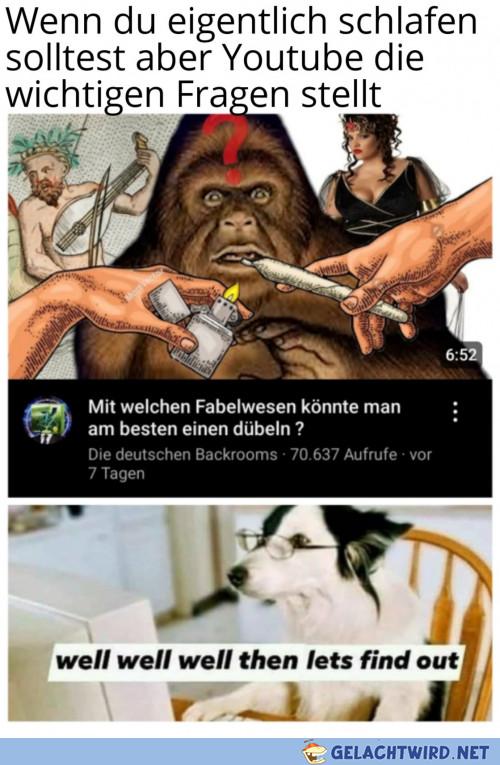 Samstag Abend gerettet oder