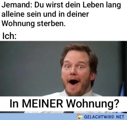 Sau teuer der Scheiß