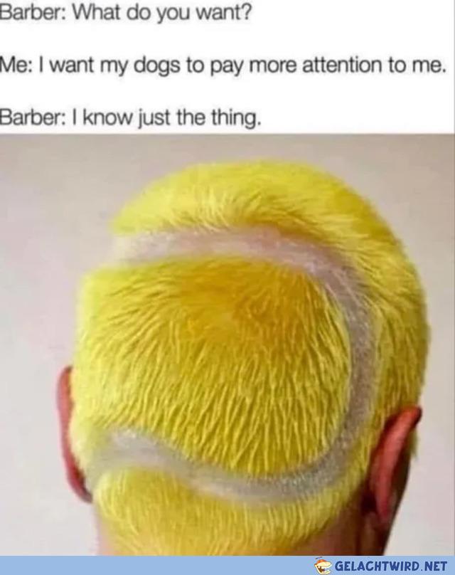 Say no more