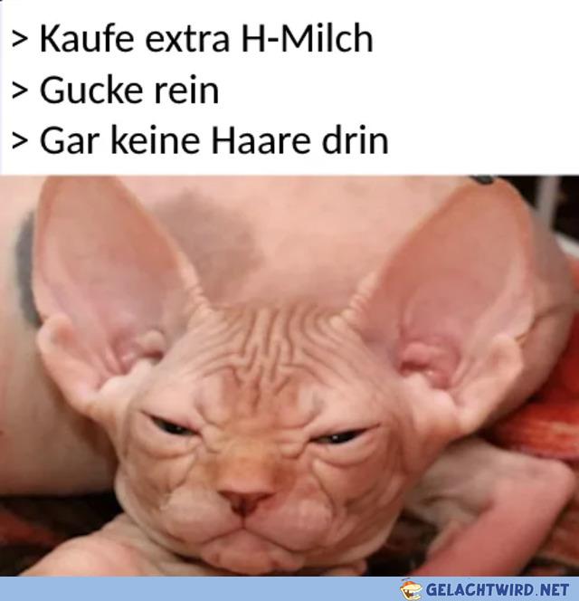 Schade