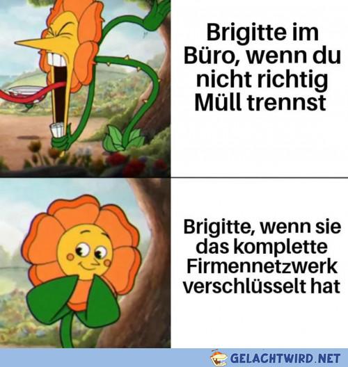 Scheiß Brigitte