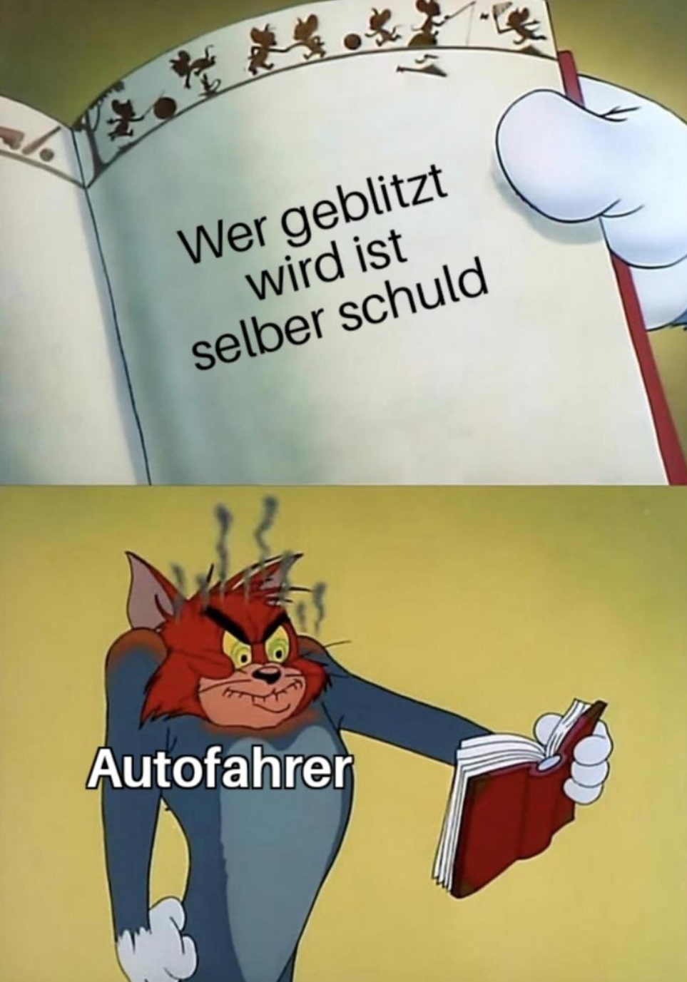 Scheiß Bullen Aller